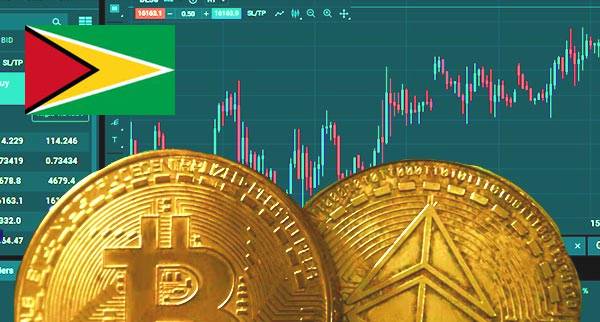 Best Trading Platform For Crypto Guyana