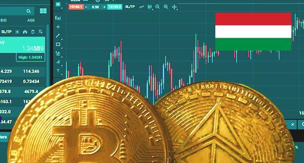 Best Trading Platform For Crypto Hungary
